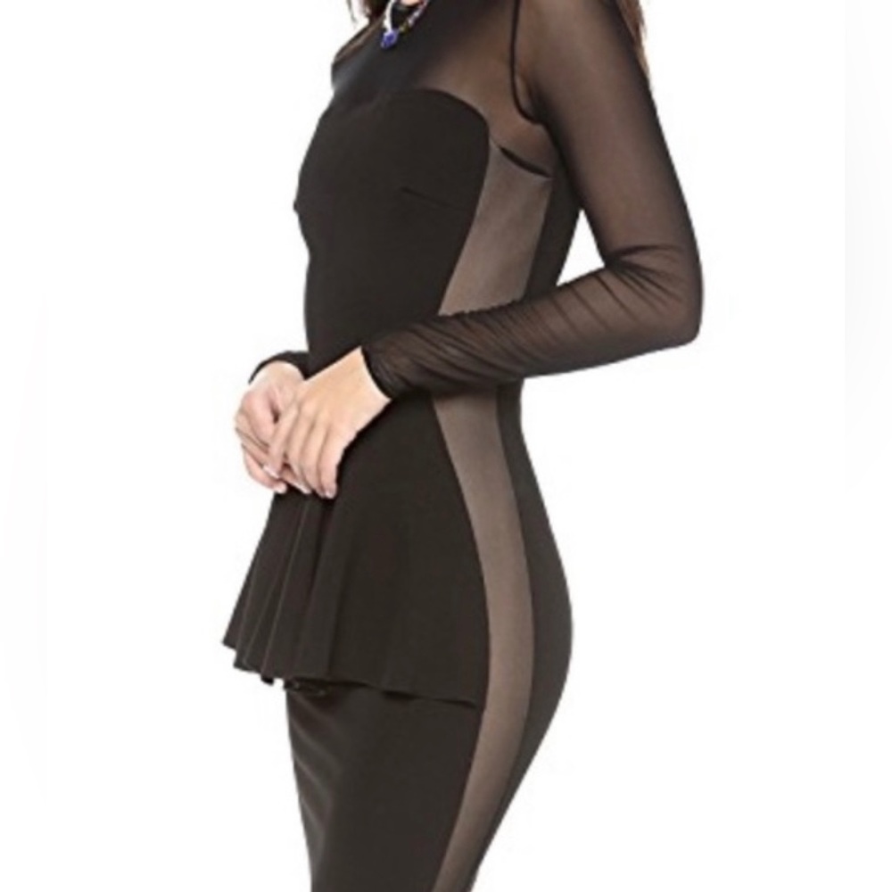 Torn by Ronny Kobo Lima Mesh Peplum Dress
